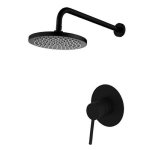 B Series - Shower Head And Mixer Blackened Brass