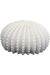 Urchin Lamp Ribbed