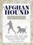 The Afghan Hound - Conversations With The Breed& 39 S Pioneers Hardcover