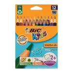 BIC 12 Piece Colour Pencil Evolution