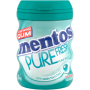 Mentos Chewing Gum Bottle Wintergreen 61.25g