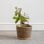 Bulrush Cotton Lined Planter Black
