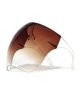 Transparent Face Shield Brown