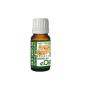 Palo Santo Organic Essential Oil Bursera Graveolens Holly Wood - 10 Ml