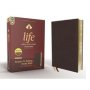 Niv Life Application Study Bible Red Letter Edition   Burgundy   Leather / Fine Binding