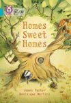 Homes Sweet Homes: Turquoise band 07 Paperback