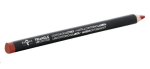 Bronx Lipliner Pencil in Scandal