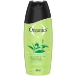 Anti Dandruff 2IN1 Shampoo 400ML