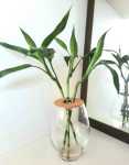 Barrel Vase 20CM With Lucky Bamboo