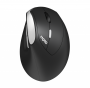 Rapoo EV250 Ergo Wireless Optical Mouse