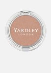 Highlighter Powder - Champagne