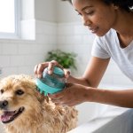 Self Cleaning Grooming Slicker Brush For Dogs And Cats