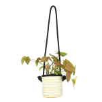 Hanging Yellow Stripy Planter - Small