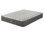 Sealy Crown Jewel - Zeal Firm Mattress