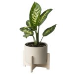 Cango Pot Plant Holder