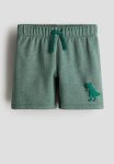 Printed Sweatshorts - Green Dinosaur