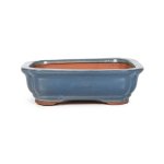 Assorted Glazed Bonsai Pots 6" - Blue Rectangular 16 X 12 X 5CM
