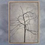 Shadowplay 3 Art Print - A3 Framed Canvas With Natural Wood Frame