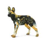 African Wild Dog -
