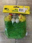 Easter Chick With Grass