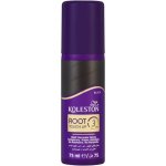 Wella Root Touch Up Hair Spray Black 75ML