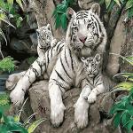 Adult Painting By Numbers - Tiger Tribe
