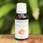Organic Frankincense Oil Boswelia Serrata 22ML Nautica Organics