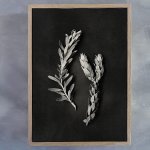 Monochrome Pins 2 Art Print - A2 Framed Canvas With Natural Wood Frame