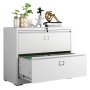 Steel Lateral 2 Drawer Filing Cabinet Swan Handle With Card Slots - White