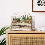Terrarium - Table Mountain - Large Excl. Plants
