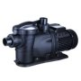 1100W Swimming Pool Pump