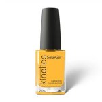 Solargel Polish Sol 651 15ML