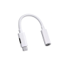 2-IN-1 Type-c To 3.5MM Adapter Compatible With Iphone Samsung & Google