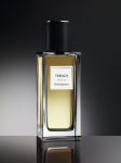 Yves Saint Laurent Trench Decants samples