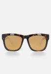 Haze - Turtle Brown & Brown