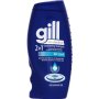 Gill Anti-dandruff 2-IN-1 Conditioning Shampoo Dry Scalp 200ML