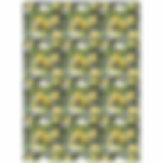FSC0006 Printed Wall Hanging Prints Lemon And Magnolia