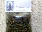 Cedar Leaves Purification Protection And Spiritual Growth