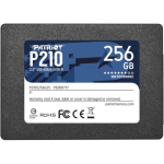 P210 2.5-INCH 256GB Serial Ata III Internal SSD P210S256G25
