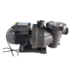 Pool Pump And Motor 0.75KW Storm
