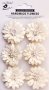 Astra Paper Flowers - Ivory Pearl 6 Pieces