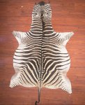 B Grade Zebra Hide 009 L