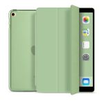 Ipad 9TH 8TH Generation 10.2 Smart Case & Stand - Olive Green