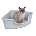 Corner Litterbox