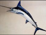 Blue Marlin 280CM Bm