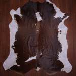 A Grade Nguni Hide 580 Brown white XL - Extra Large Brown white Panelled