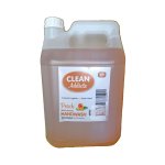 Budget – Handwash Grit Peach grape – 5L