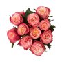 Vintage Berry Speciality Roses