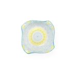 Small Bowl Blue Yellow & White