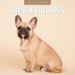 Red Robin 2026 French Bulldogs Monthly Wall Calendar 12" X 24" Open Premium Thick & Sturdy Paper Hangable 12 Month Calendar Line